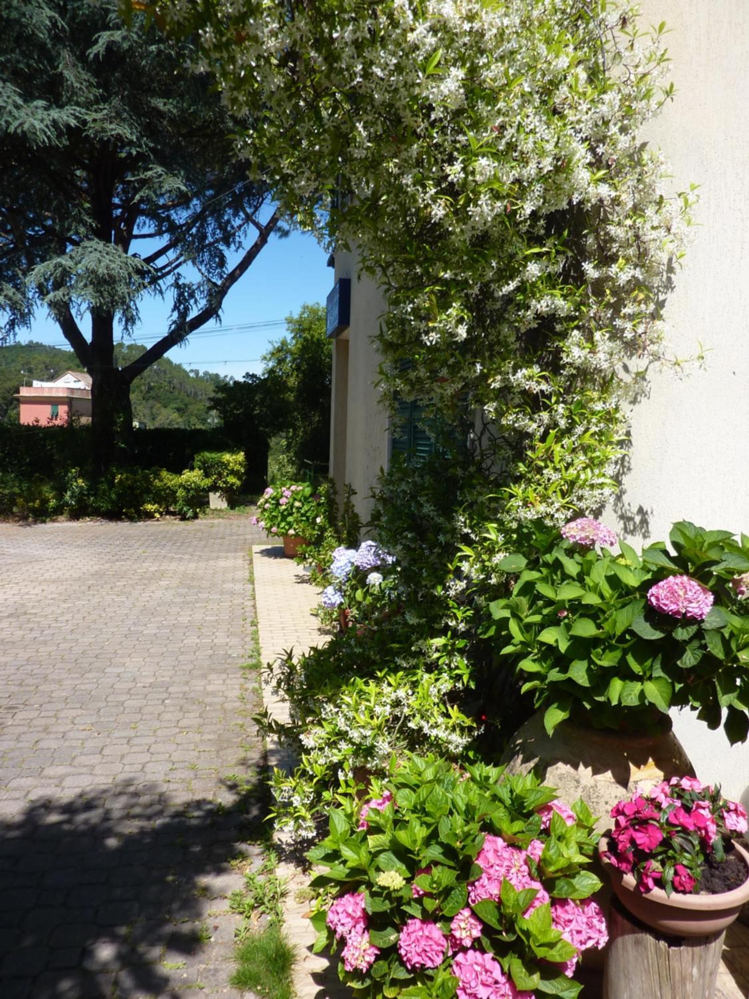 Hotel Silvia Framura - Cinque Terre Екстер'єр фото