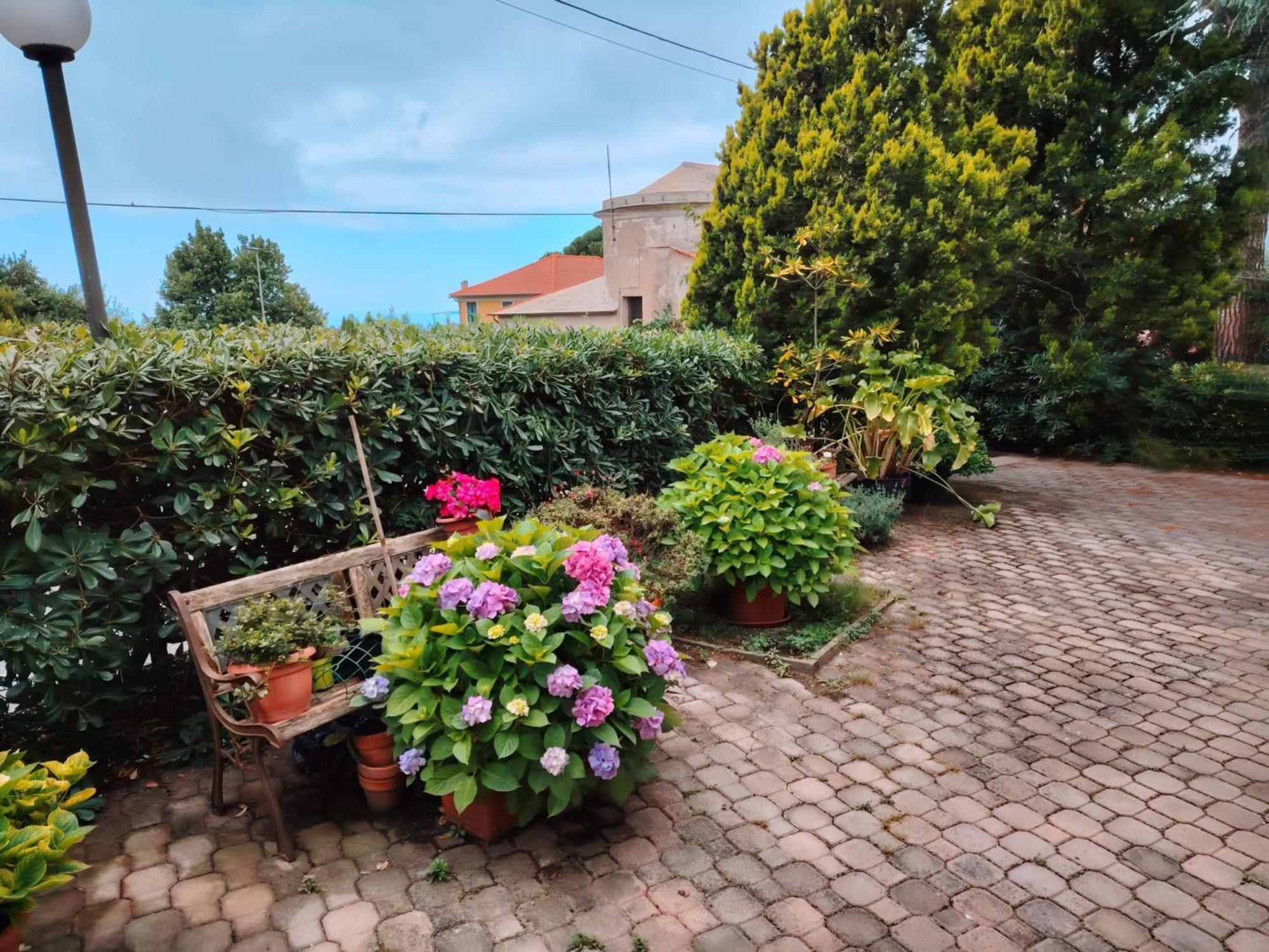 Hotel Silvia Framura - Cinque Terre Екстер'єр фото