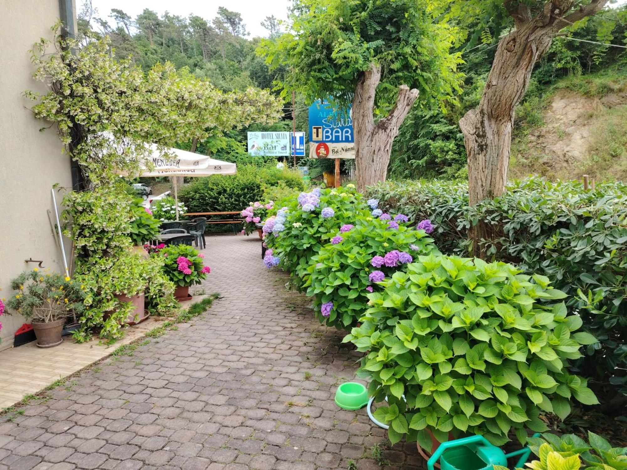 Hotel Silvia Framura - Cinque Terre Екстер'єр фото
