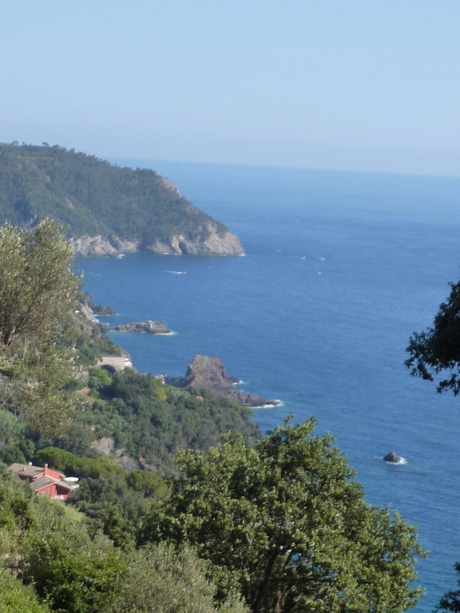 Hotel Silvia Framura - Cinque Terre Екстер'єр фото