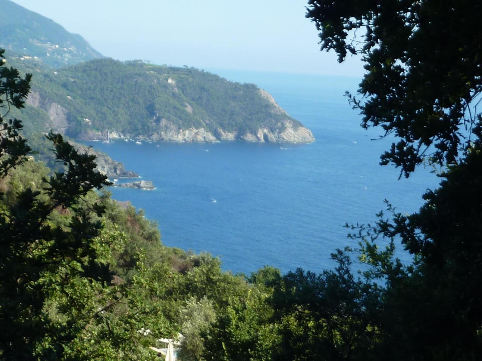 Hotel Silvia Framura - Cinque Terre Екстер'єр фото