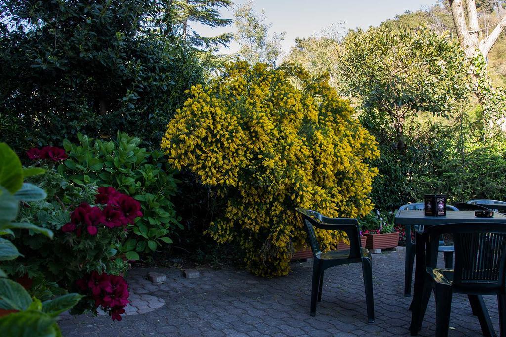 Hotel Silvia Framura - Cinque Terre Екстер'єр фото